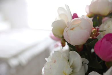 Beautiful blooming peonies against blurred background, closeup. Space for text