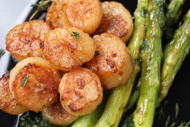 Delicious fried scallops with asparagus and sauce on plate, closeup