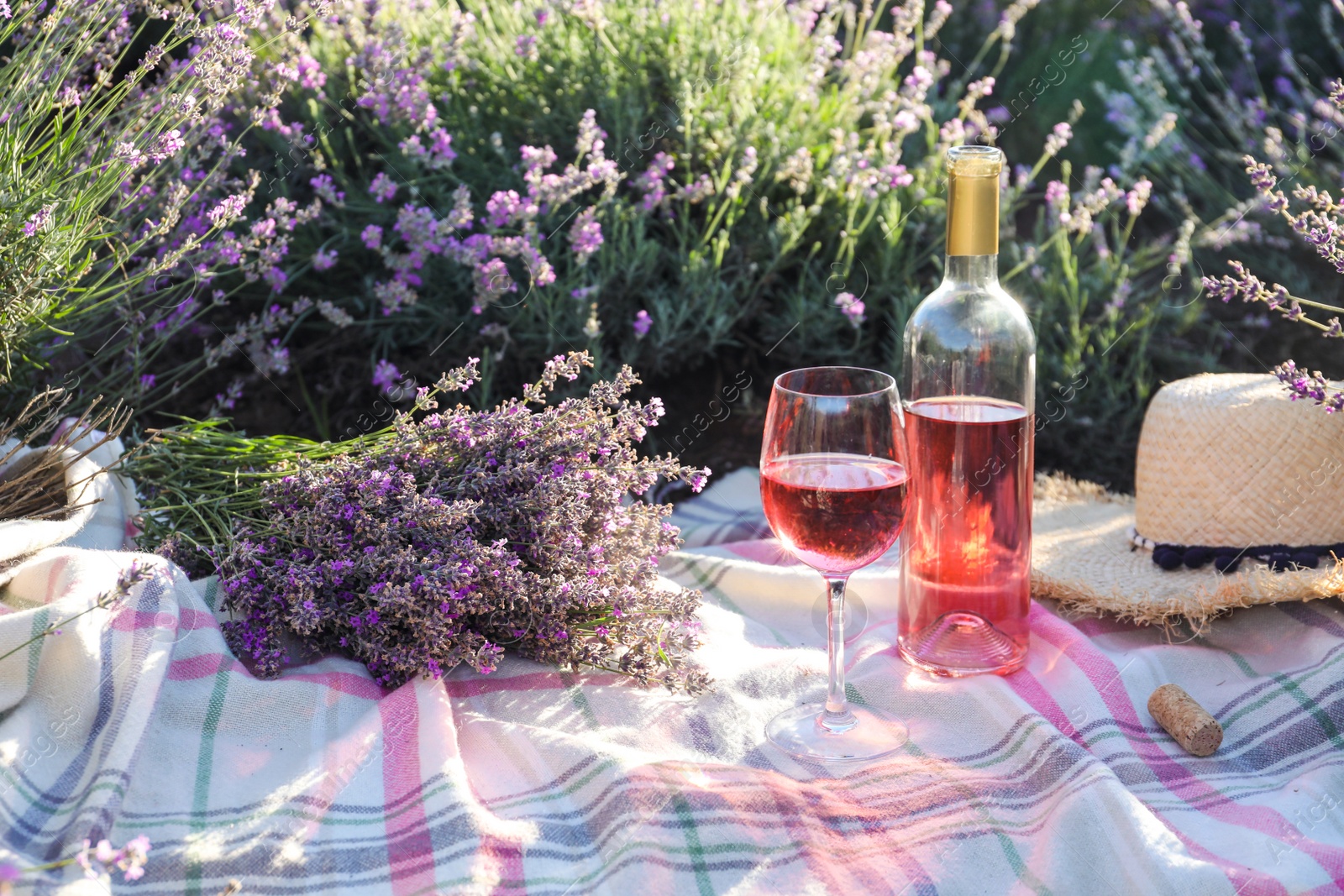 Photo of Bottle and glass of wine on blanket in lavender field