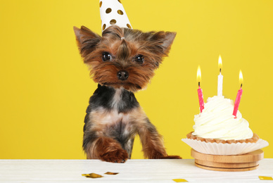 Photo of Cute Yorkshire terrier dog with birthday cupcake at table against yellow background