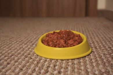 Wet pet food in feeding bowl on soft carpet indoors, closeup