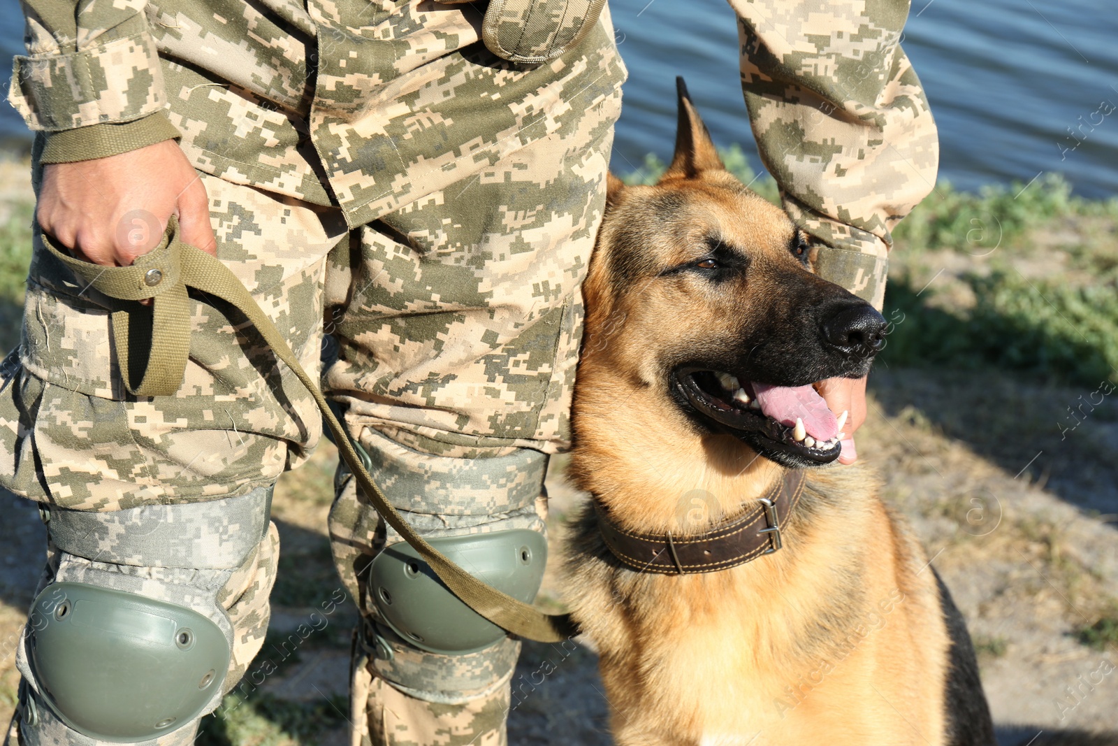 Photo of Man in military uniform with German shepherd dog near river, closeup view