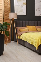 Large comfortable bed, lamp and green houseplant in stylish room. Bedroom interior