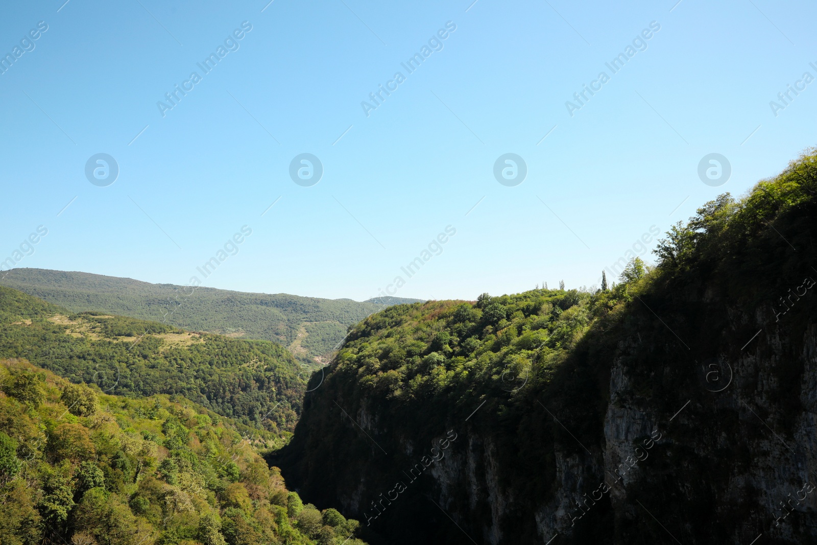 Photo of Picturesque view of forest in mountains under beautiful sky, space for text