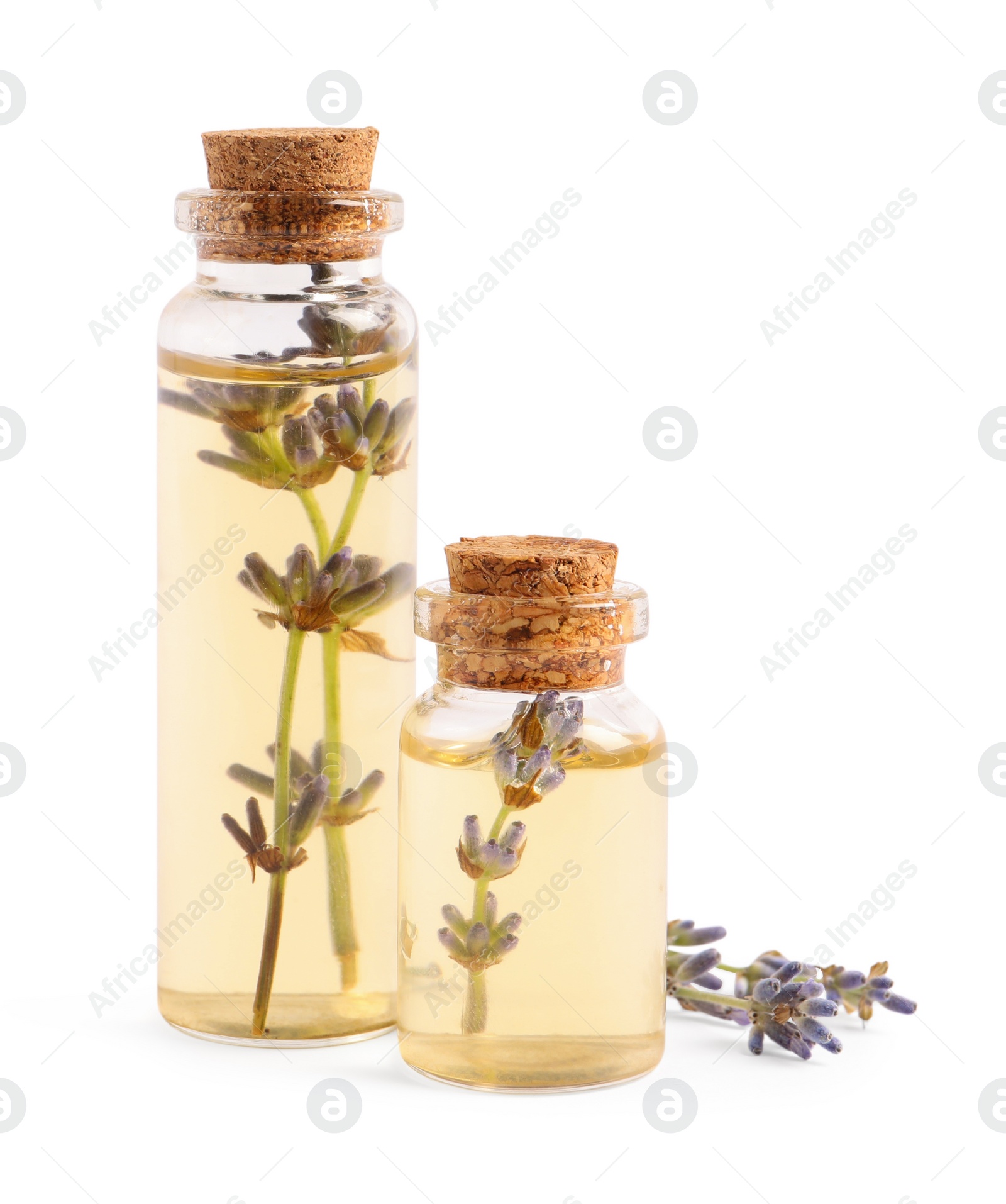 Photo of Essential oil and lavender flowers on white background