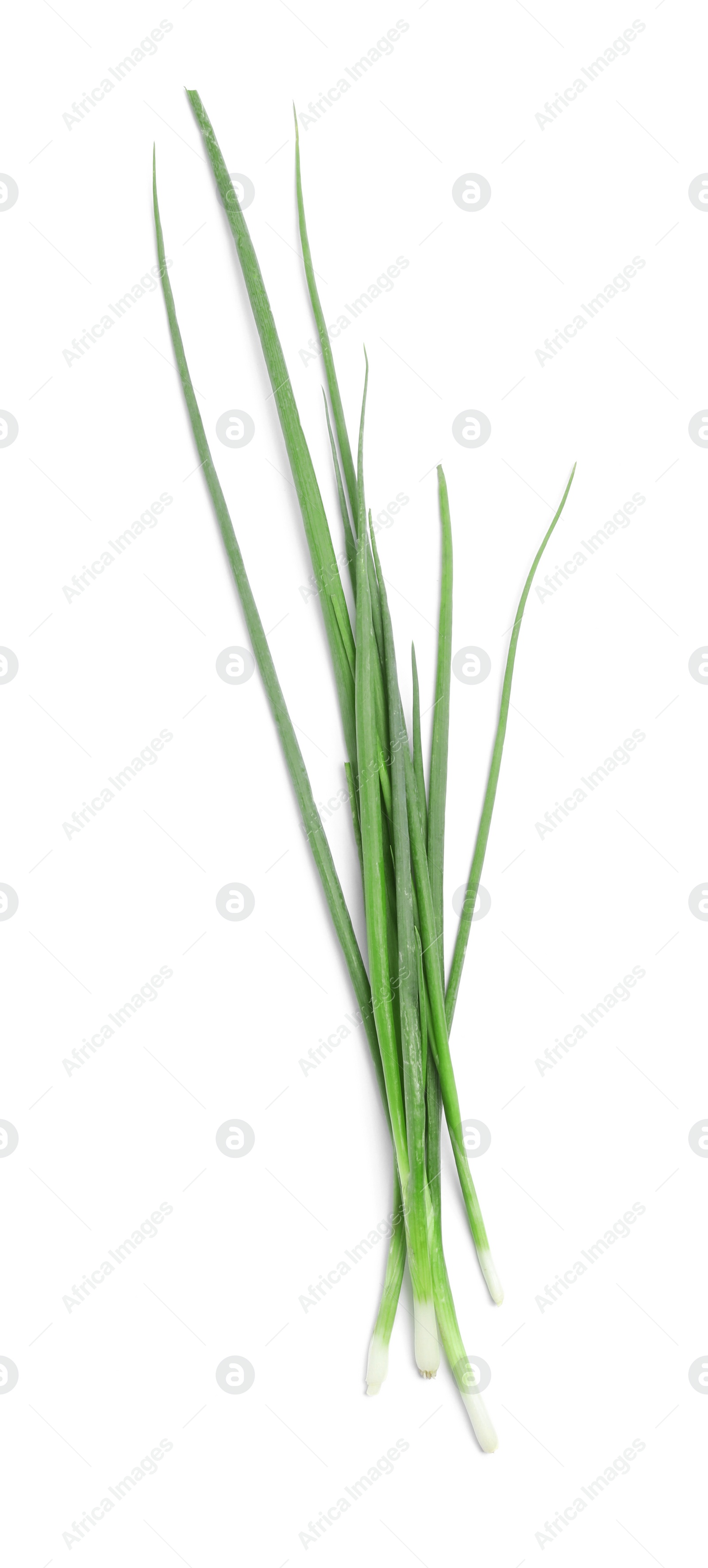 Photo of Fresh green spring onions on white background, top view