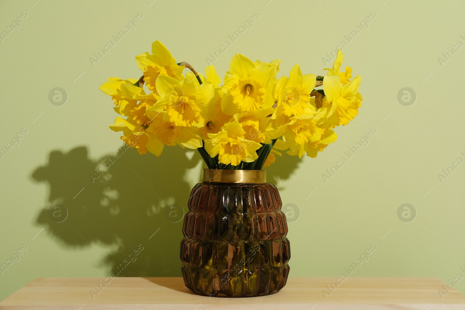 Photo of Beautiful daffodils in vase on table near light green wall