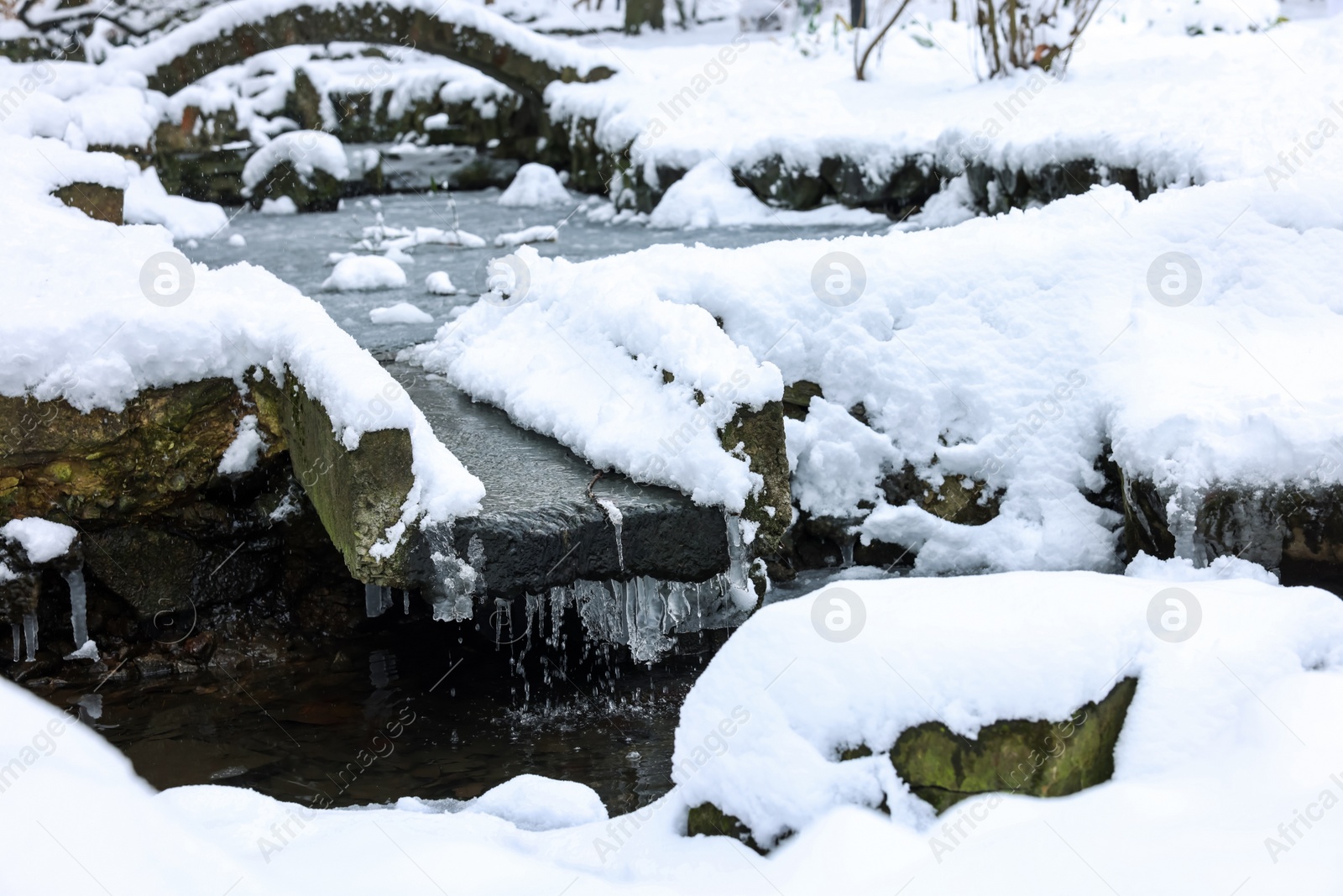 Photo of Fluffy snow and frozen pond in winter park