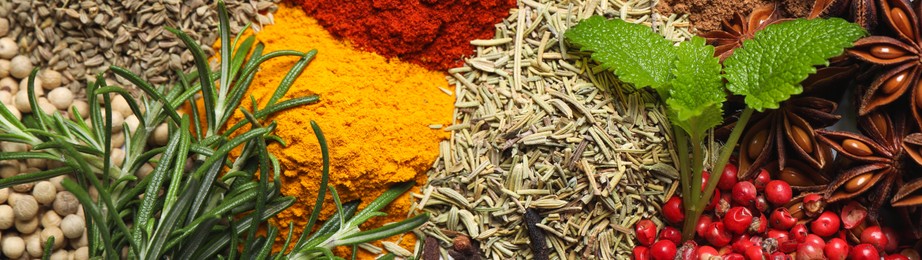 Different fresh herbs with aromatic spices as background, top view. Banner design