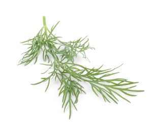 Photo of One sprig of fresh dill isolated on white