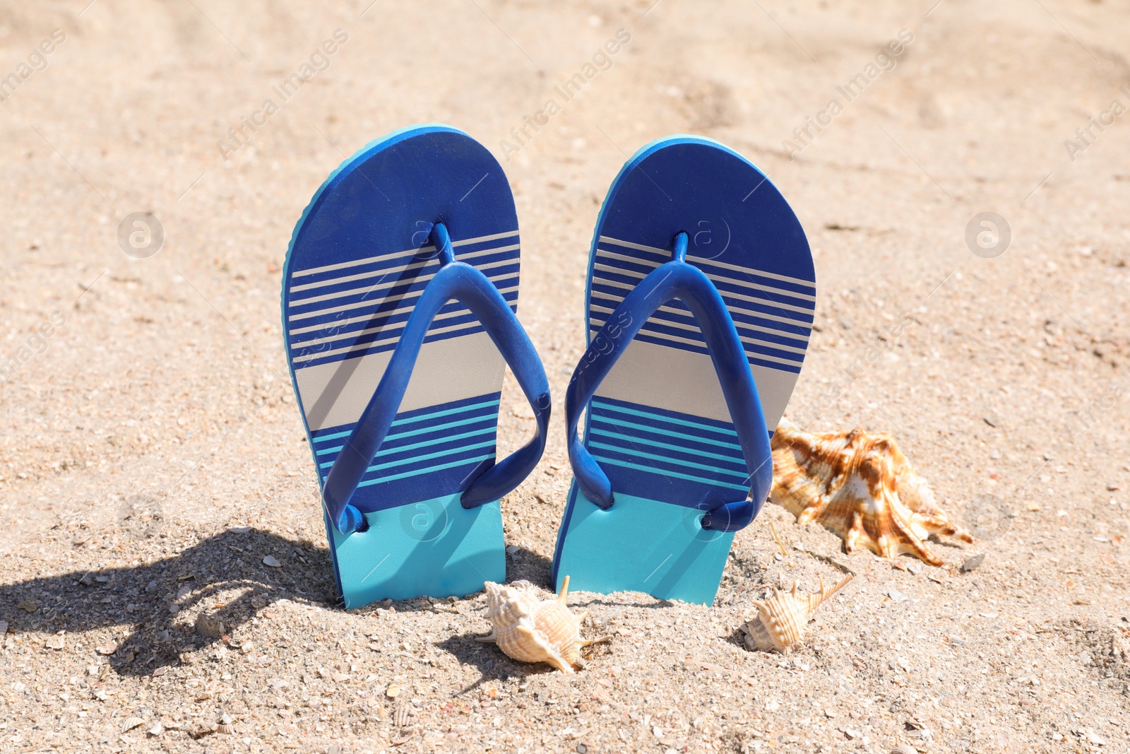 Photo of Stylish flip flops and seashells on sand