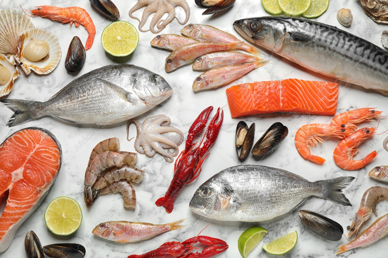 Photo of Fresh fish and different seafood on white marble table, flat lay