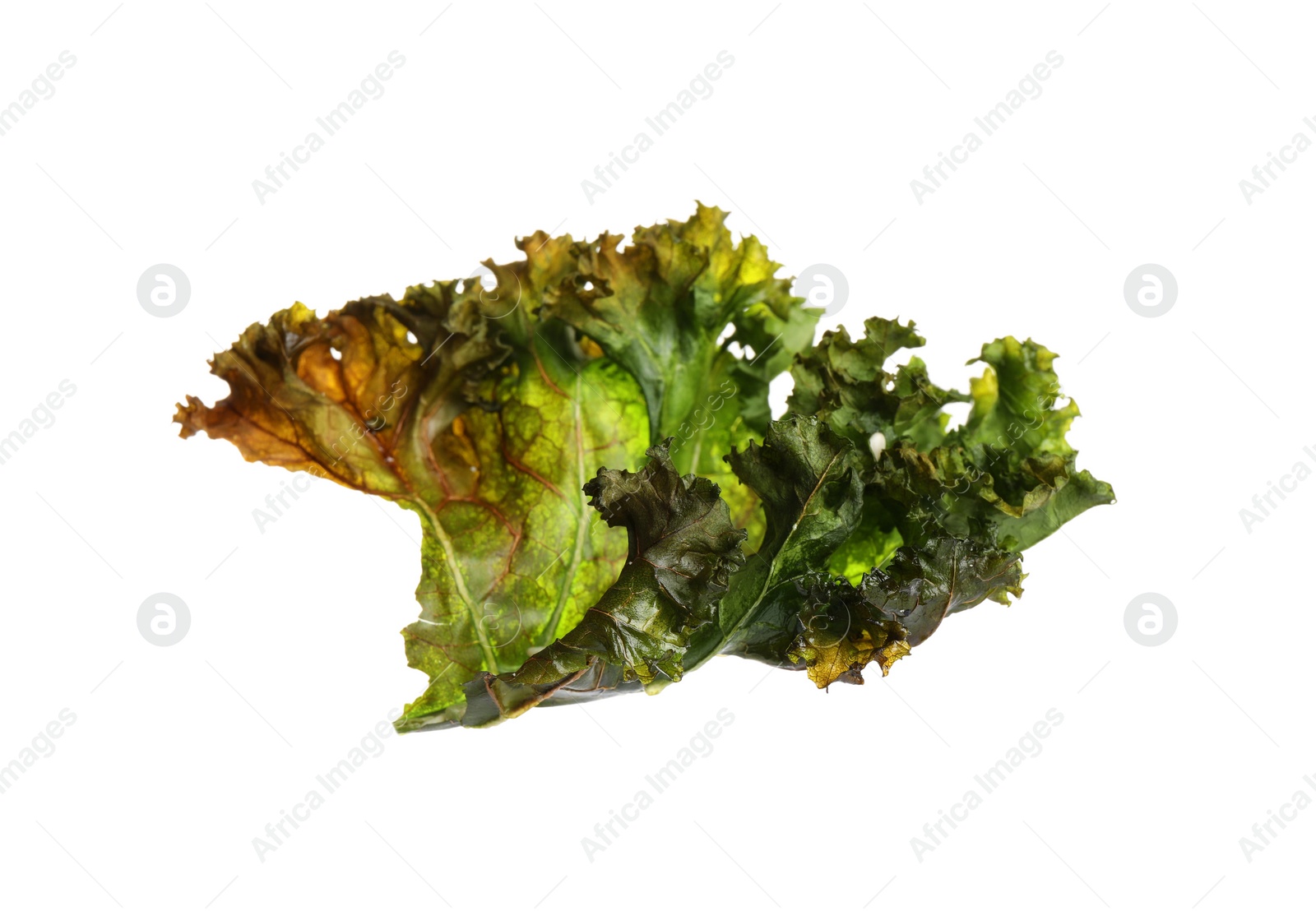 Photo of Tasty baked kale chip isolated on white