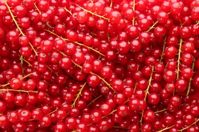 Delicious ripe red currants as background, top view