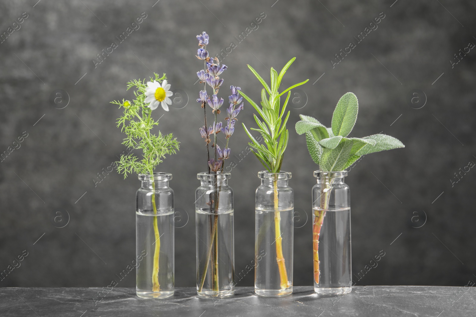 Photo of Bottles with essential oils and plants on grey textured table