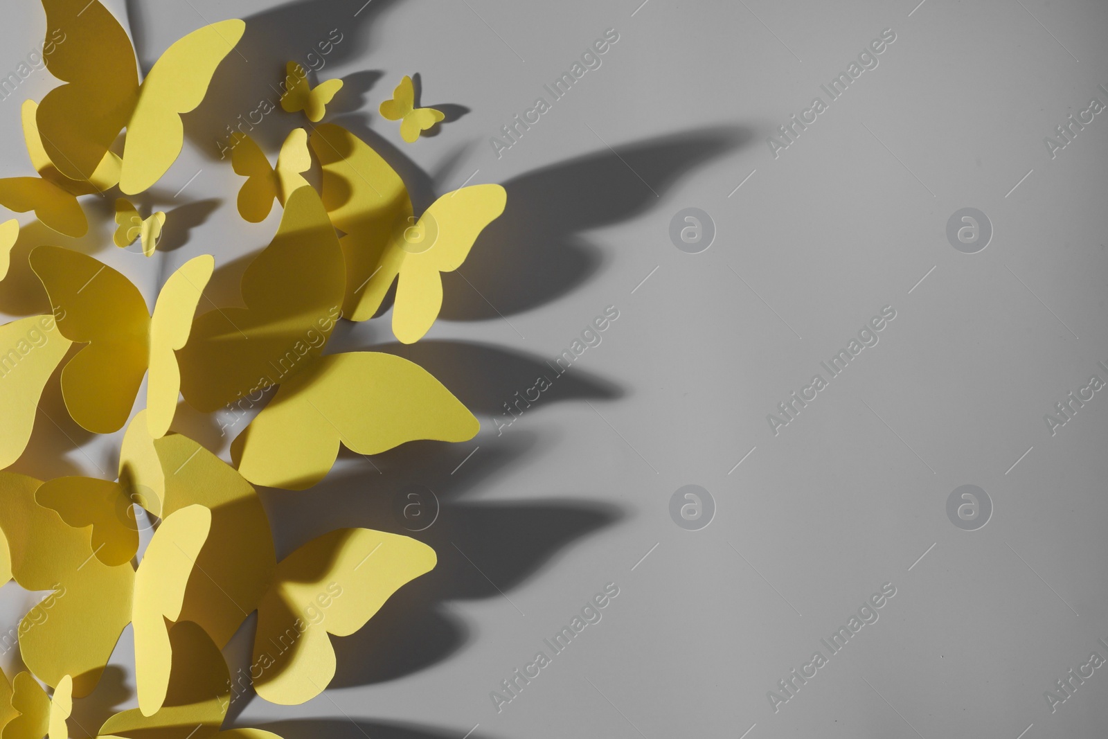 Photo of Yellow paper butterflies on light grey background, top view. Space for text