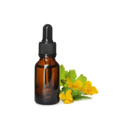 Photo of Bottle of essential oil and celandine on white background