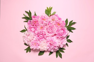 Beautiful peony flowers and green leaves on pink background, top view