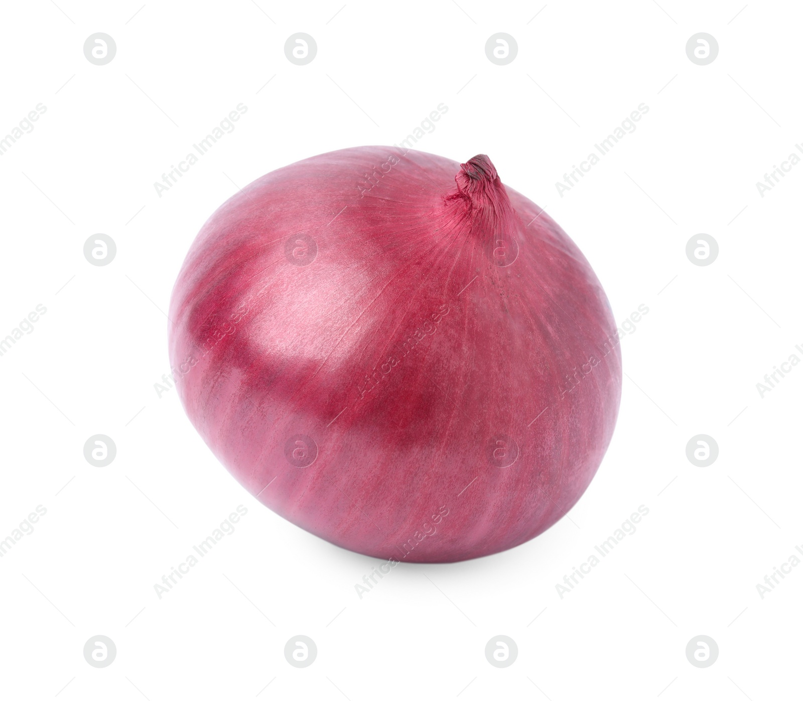 Photo of One fresh red onion on white background