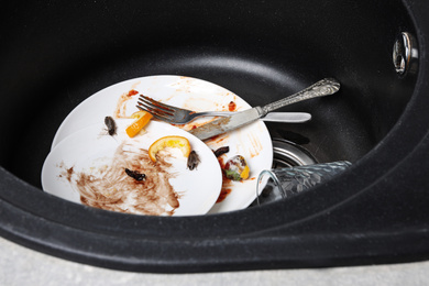 Cockroaches and dirty dishware in sink indoors. Pest control