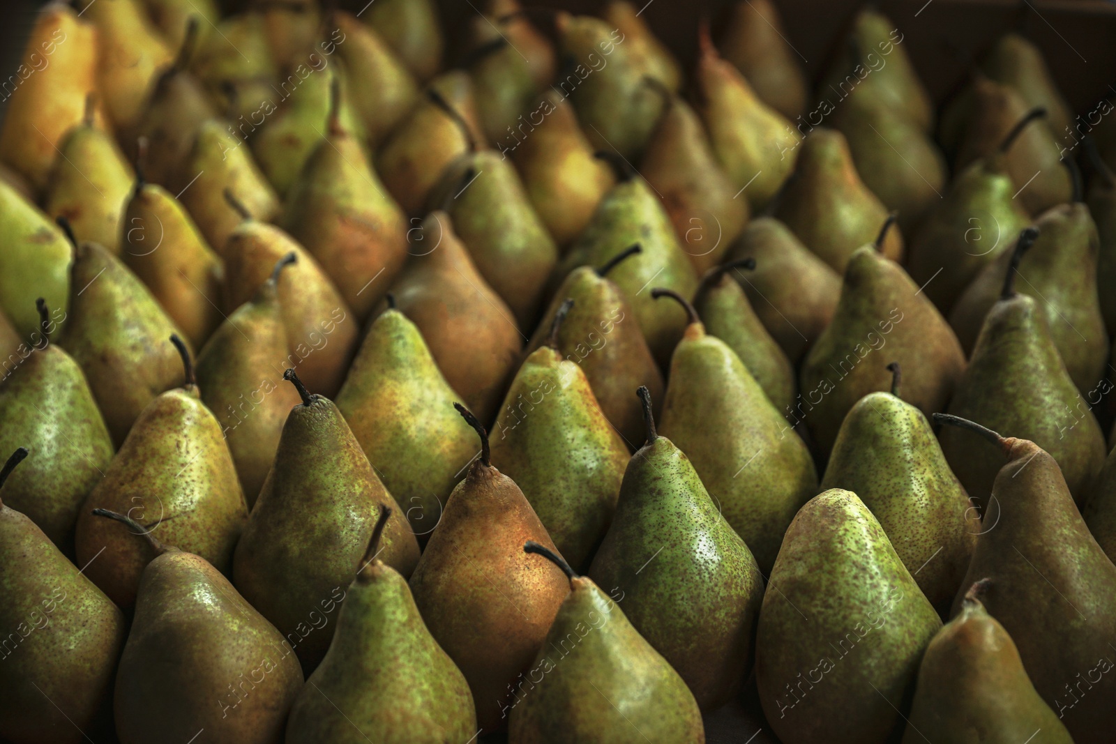 Photo of Sweet tasty fresh pears, closeup. Wholesale market