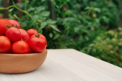 Photo of Bowl of ripe red tomatoes on light wooden table in garden. Space for text