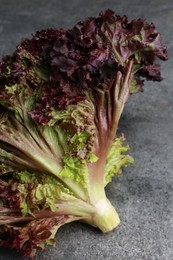 Photo of Head of fresh red coral lettuce on grey table, closeup