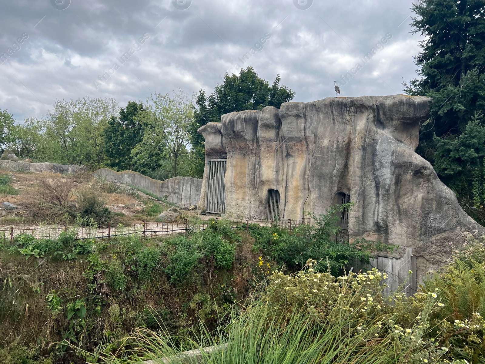 Photo of Rotterdam, Netherlands - August 27, 2022: Picturesque view of zoo enclosure with rock cliff