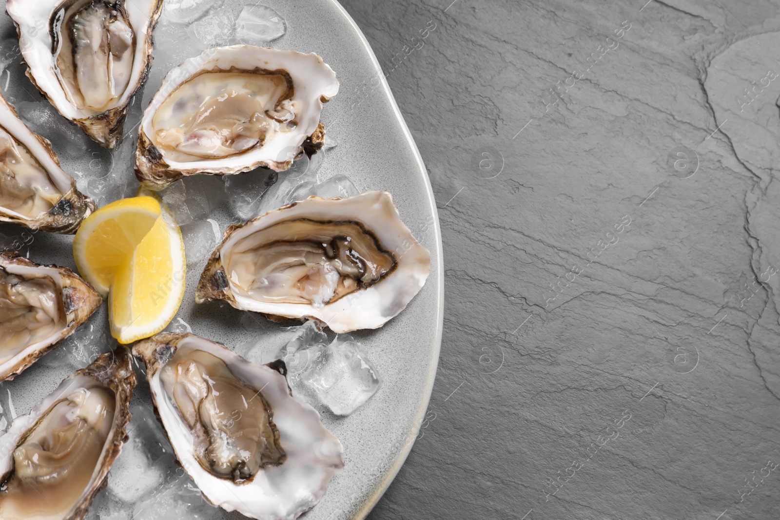 Photo of Delicious fresh oysters with lemon slices served on black slate table, top view. Space for text