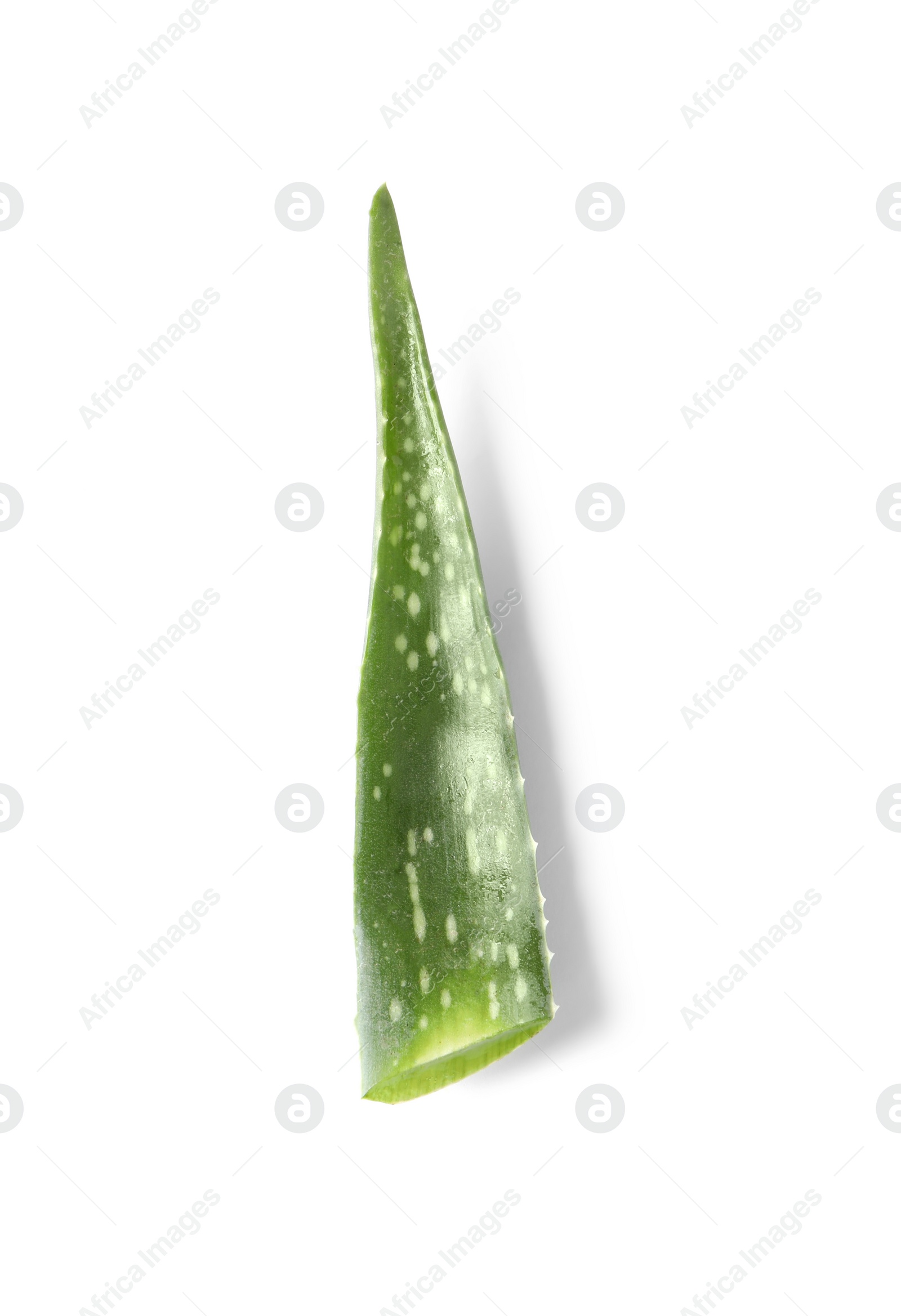 Photo of Green aloe vera leaf isolated on white, top view