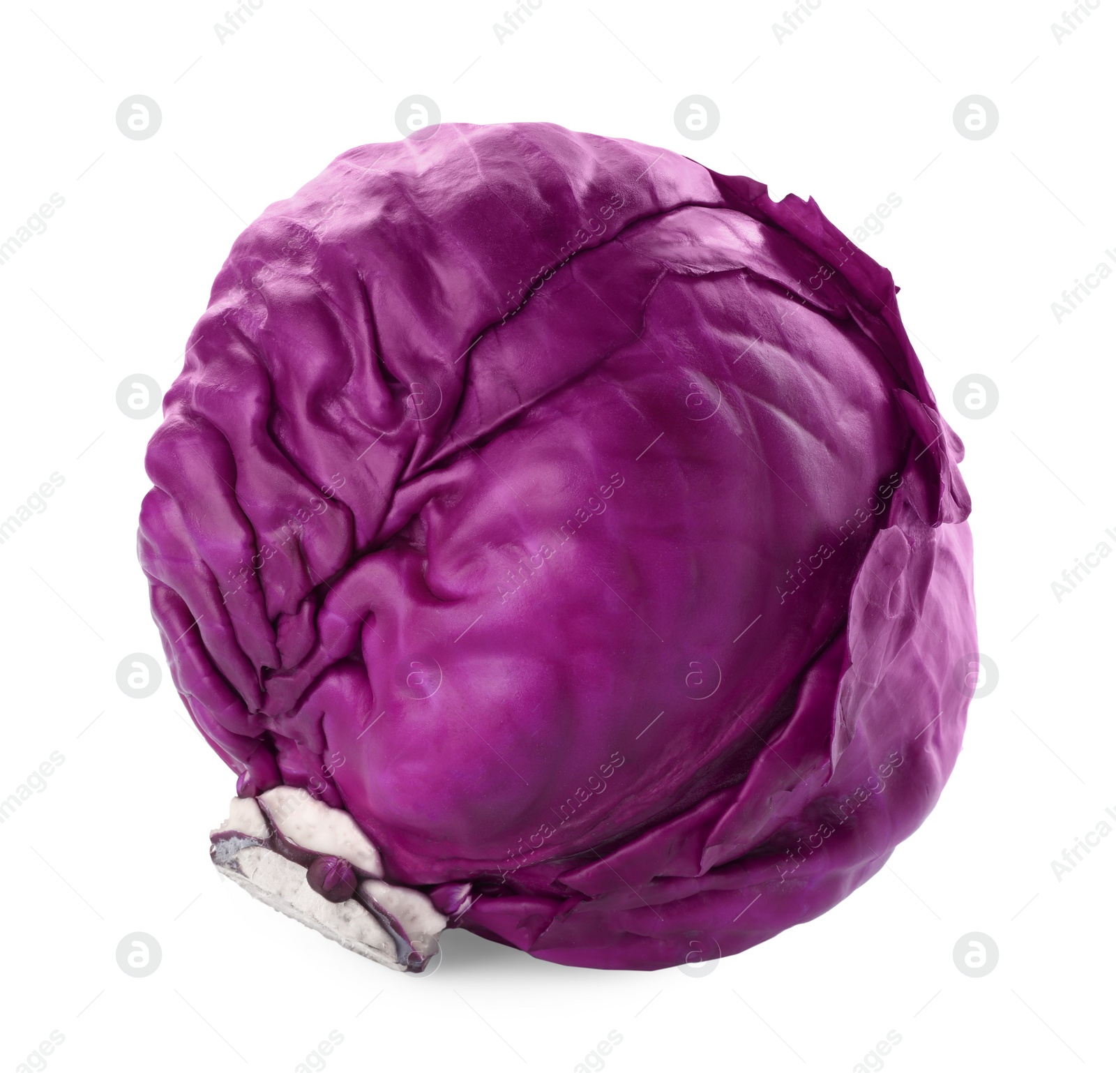 Photo of One fresh ripe red cabbage isolated on white