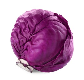 One fresh ripe red cabbage isolated on white