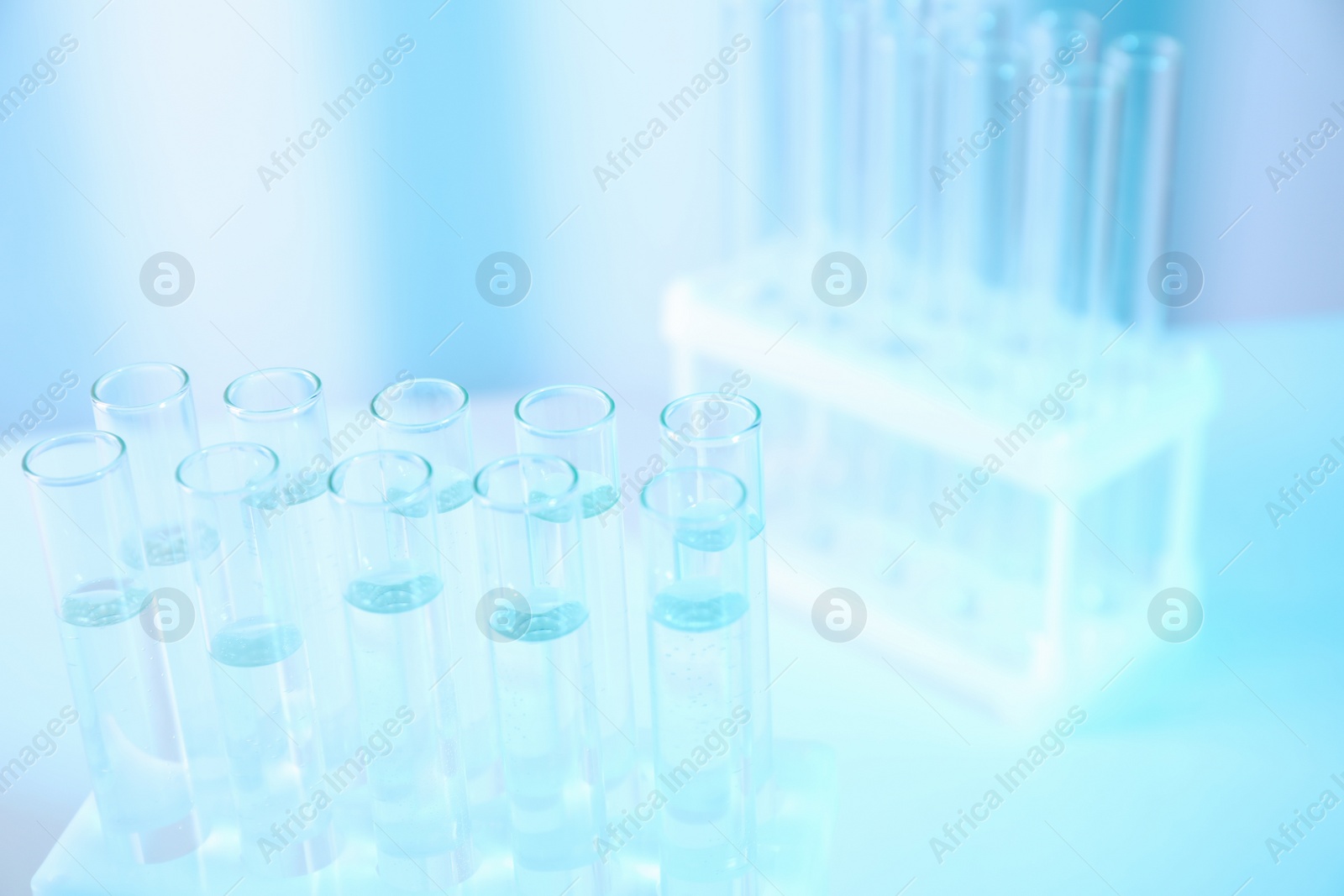 Photo of Test tubes with samples in rack on table at chemistry laboratory, closeup