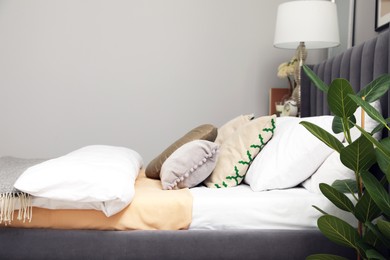 Photo of Comfortable bed with cushions and houseplant in room. Stylish interior