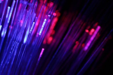 Photo of Optical fiber strands transmitting different color lights on black background, macro view