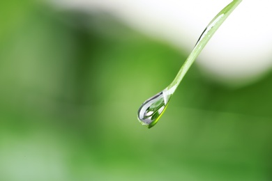 Photo of Water drop on green leaf against blurred background