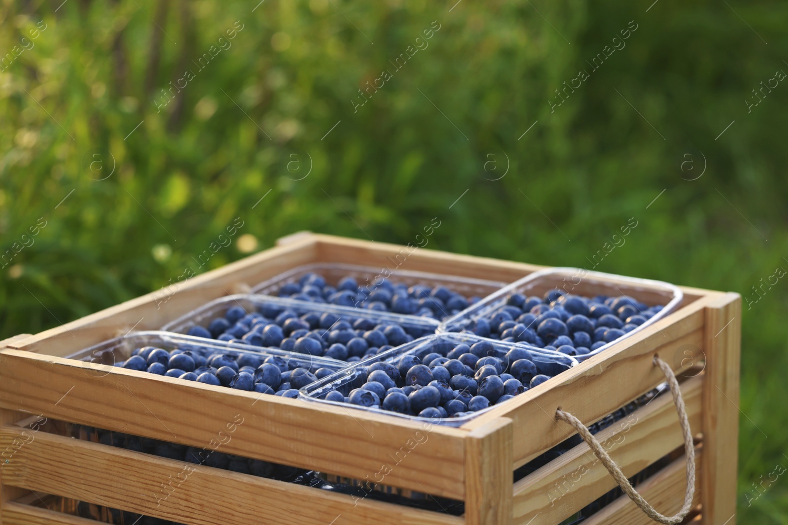 Photo of Box of fresh blueberries outdoors. Seasonal berries