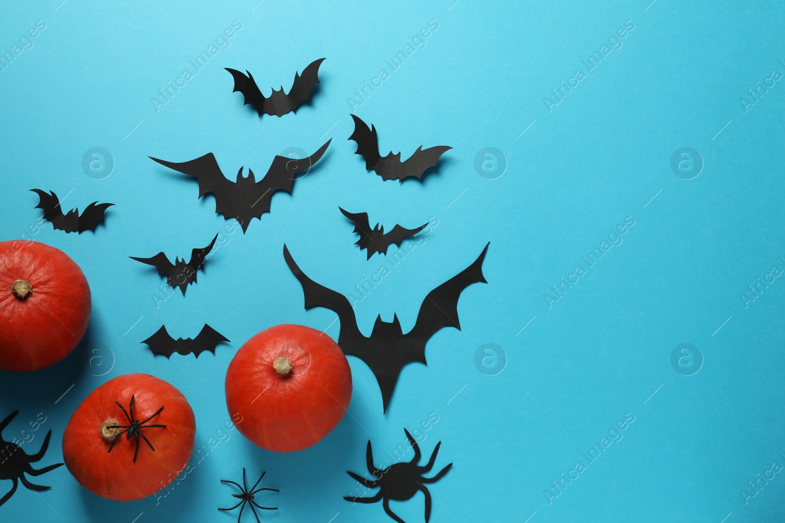 Photo of Flat lay composition with pumpkins, paper bats and spiders on light blue background, space for text. Halloween celebration