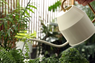 Photo of Woman watering beautiful house plant from can, closeup