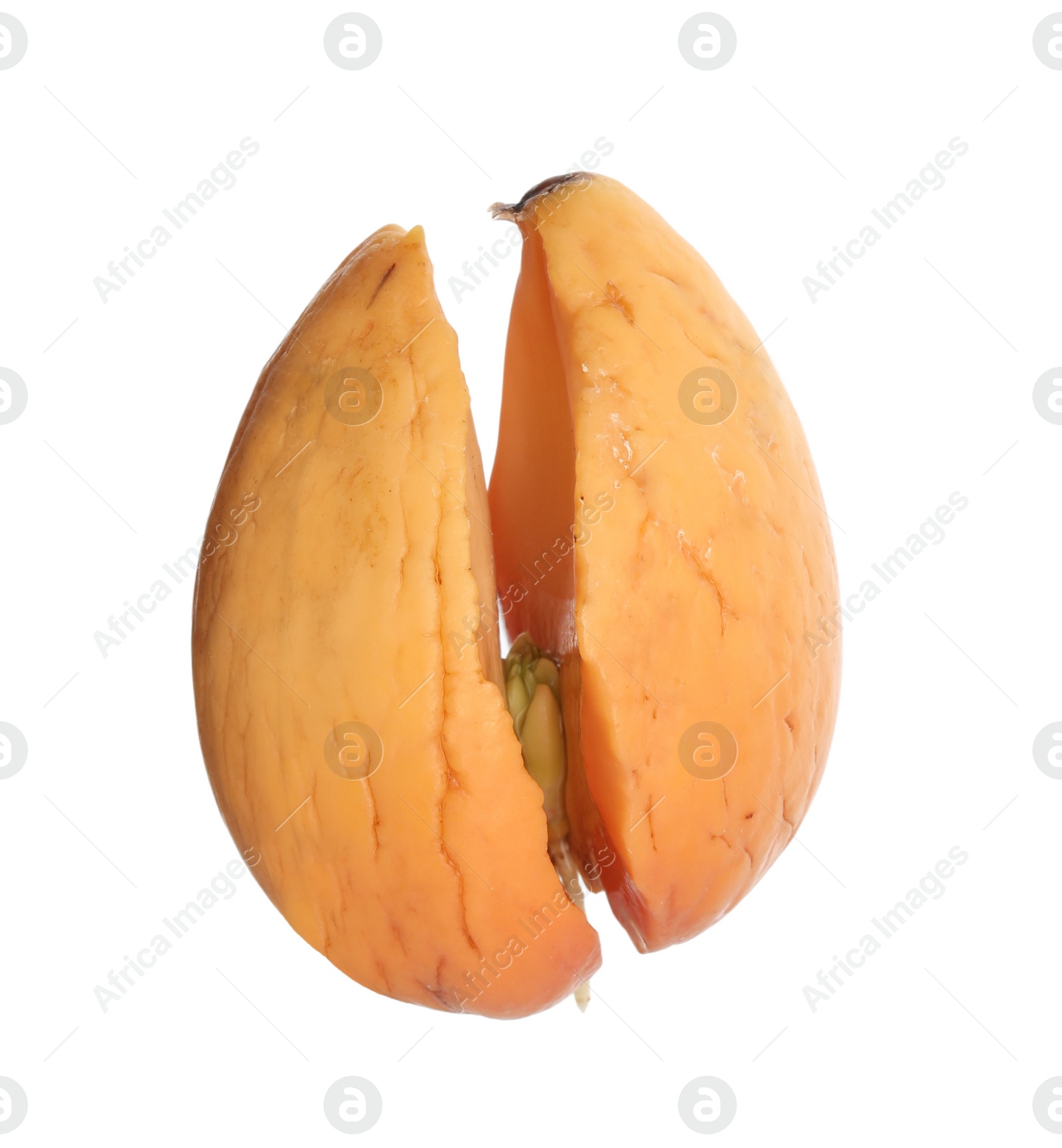 Photo of Small organic avocado pit on white background