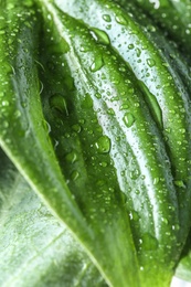 Photo of View of water drops on green leaf, closeup