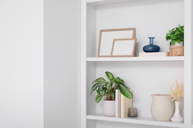 Photo of Interior design. Shelves with stylish accessories, potted plants and frames near white wall. Space for text