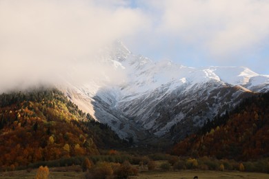 Photo of Picturesque view of mountains with forest on autumn day