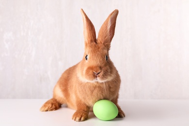Photo of Cute bunny and Easter egg on white table against light background