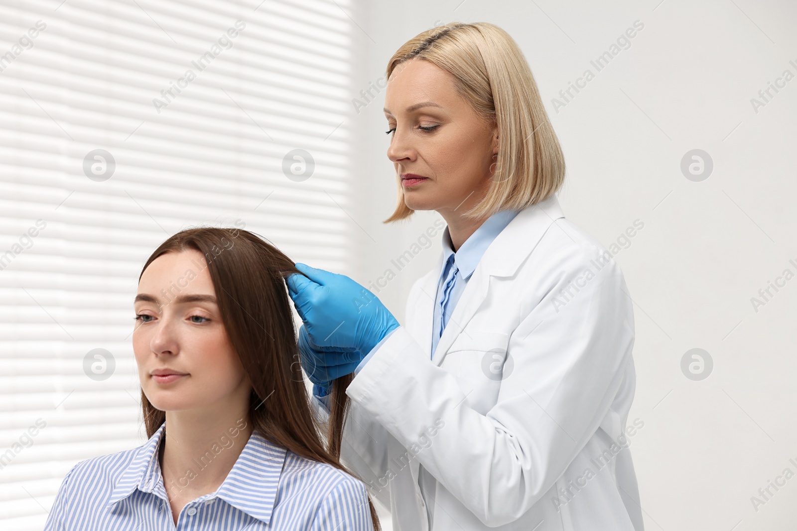 Photo of Trichologist in gloves examining patient`s hair in clinic