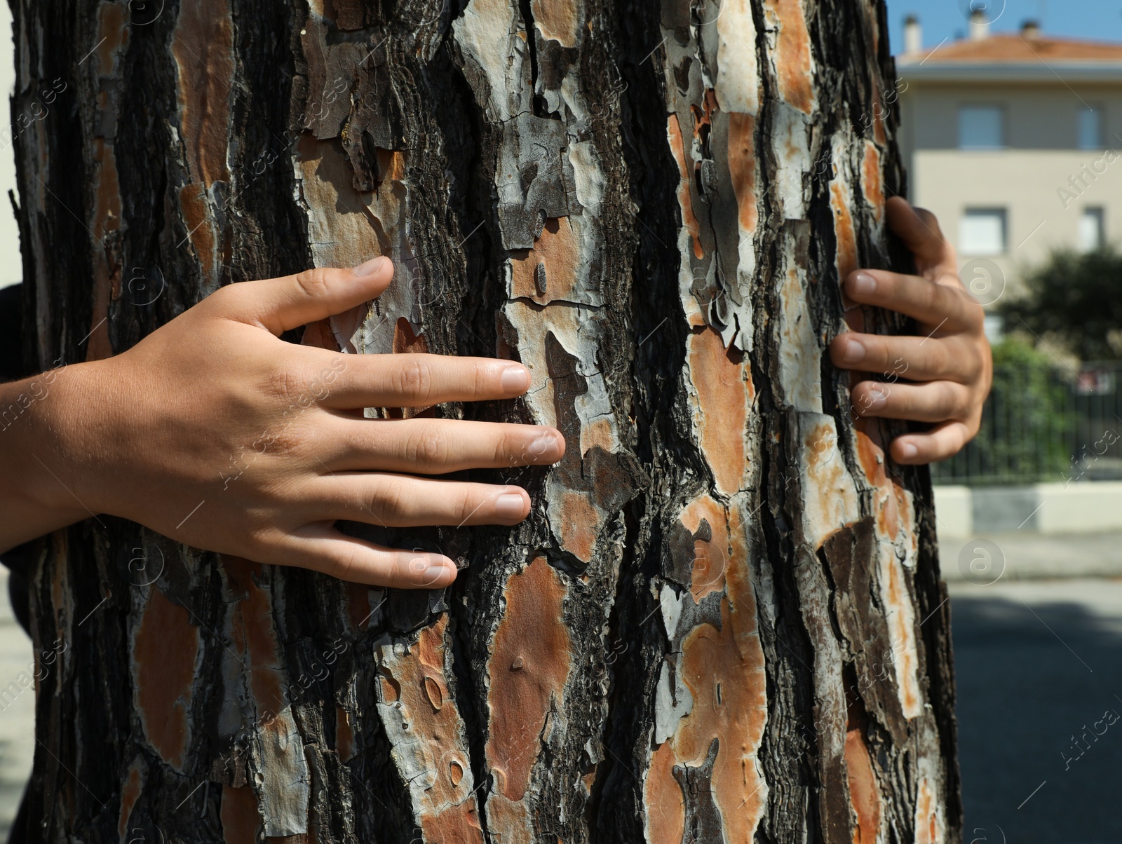 Photo of Boy hugging tree trunk outdoors on sunny day, closeup