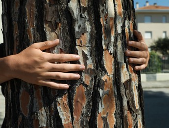 Boy hugging tree trunk outdoors on sunny day, closeup