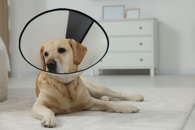 Photo of Cute Labrador Retriever with protective cone collar on floor in room. Space for text