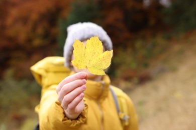 Photo of Woman holding beautiful autumn leaf outdoors, focus on hand