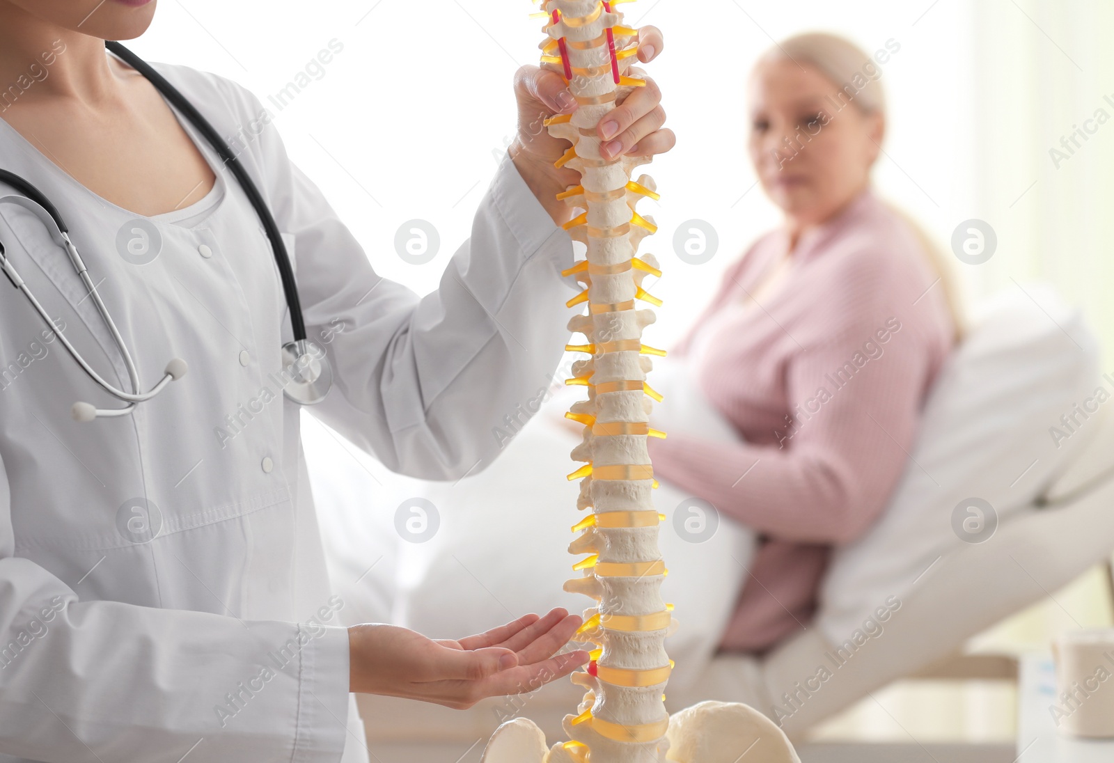 Photo of Female orthopedist explaining structure of spine to patient in clinic, closeup